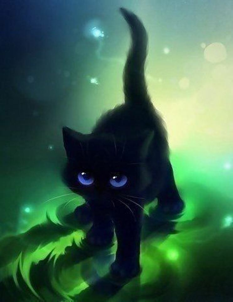 Mèo đen luôn thu hút sự chú ý của mọi người bởi nét đẹp đặc biệt, và khi được vẽ thành anime thì lại càng đáng yêu hơn. Hãy thưởng thức những hình ảnh con mèo đen cute ở đây nhé!