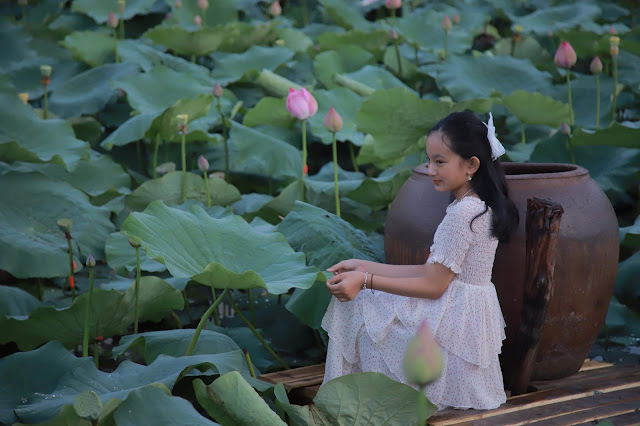 Hồ sen Đà Lạt