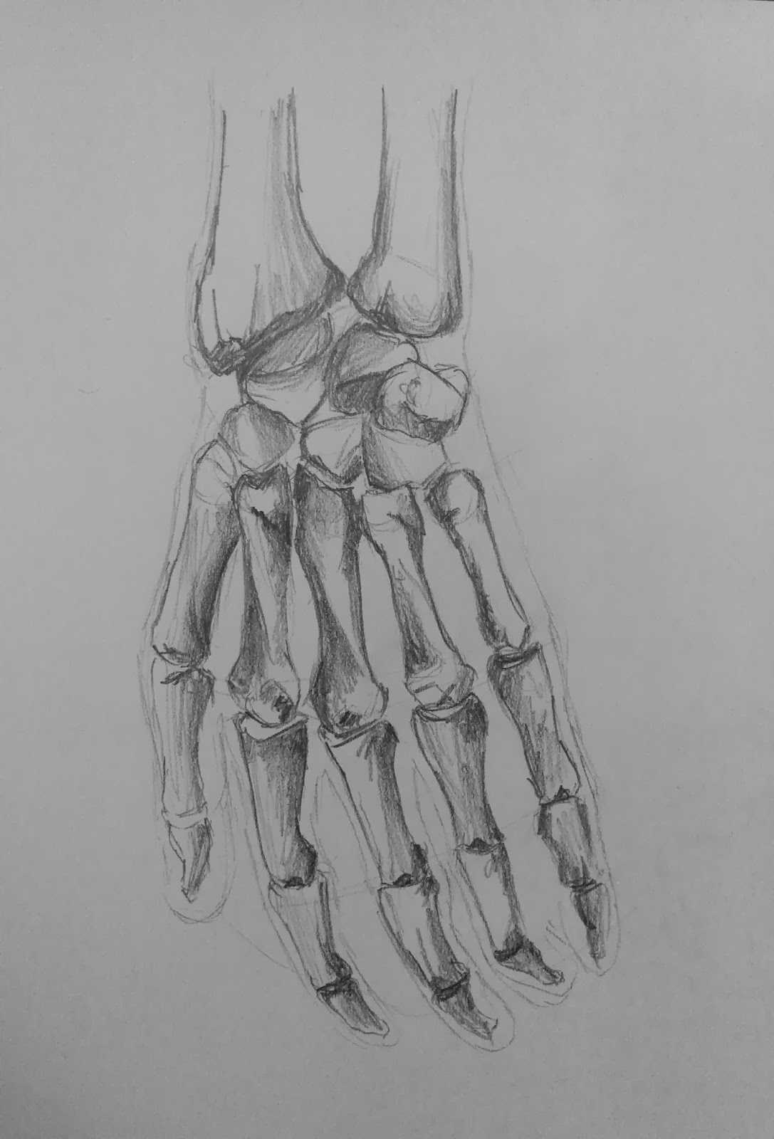 JUST VISUALIZE: Hand and Feet Anatomy