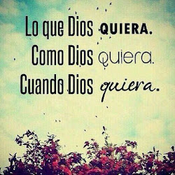 whatsapp cristianas perfil imagenes frases dios