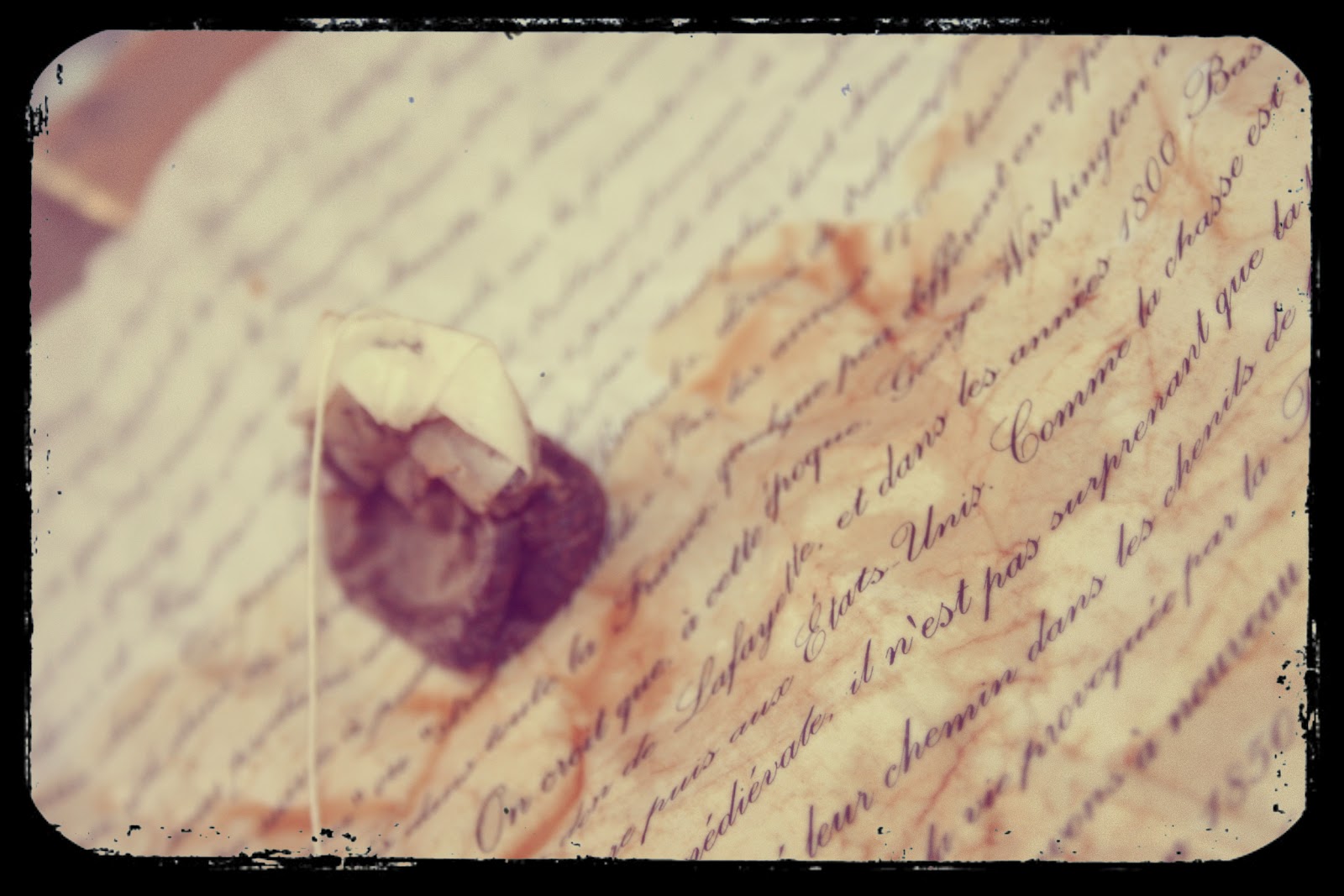 2 Teachers 2 Dogs Tea Stained Paper Tutorial