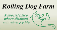 ROLLING DOG FARM RESCUES disabled animals