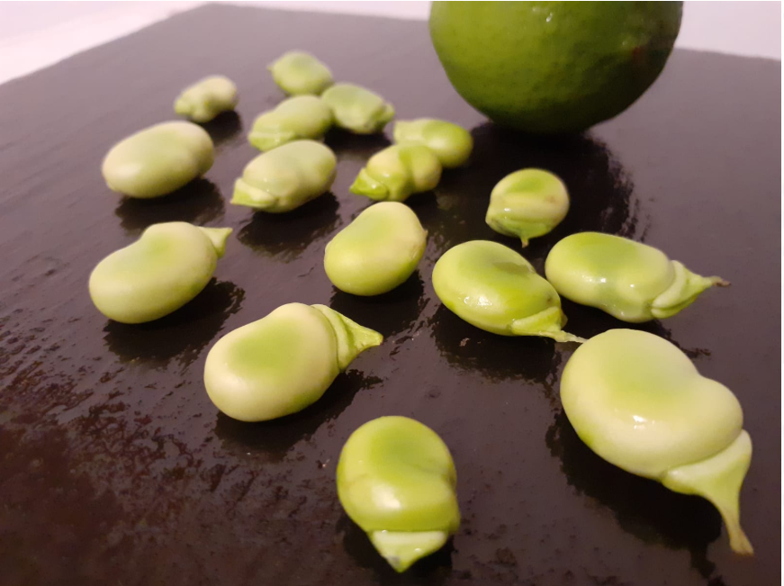 HABAS, HABITAS EL "EDAMAME" ESPAÑOL Irukas Cooking