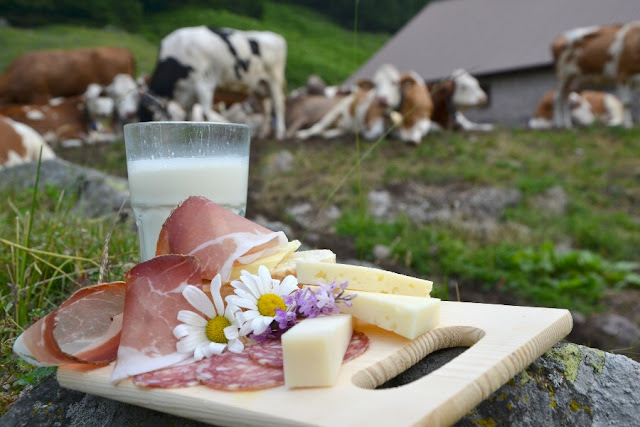 malghe val di fiemme