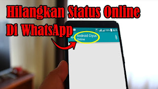Cara Menonaktifkan dan Menyembunyikan Serta Menghilangkan Status Online di Whatsapp dengan Mudah