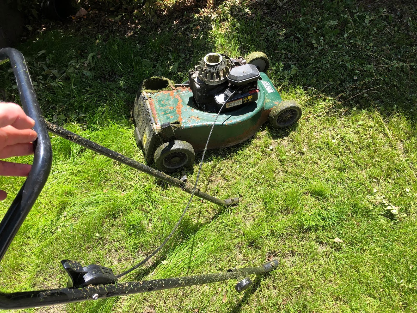 I need a new lawn mower, what is the best one for me? | The Tool Yard