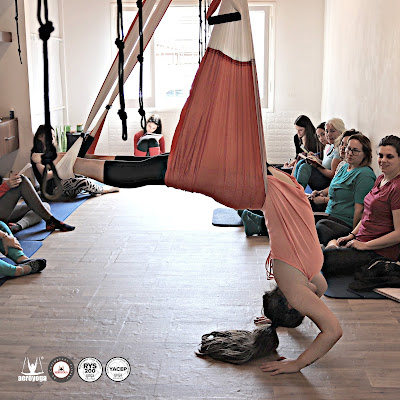 yoga aereo teacher training