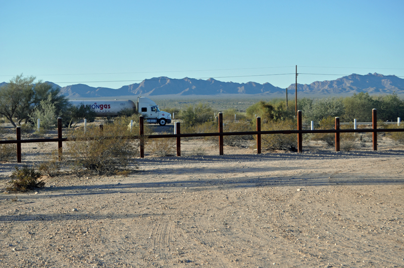 Adventures of Kitfoxgal and DesertDale Birding Near Lukeville, AZ