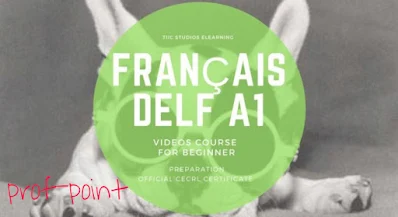 French course beginner DELF A1 CEFRL official certificate