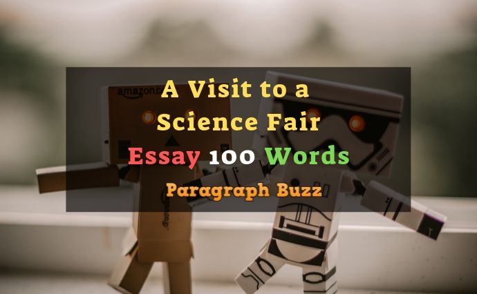 science fair in school essay