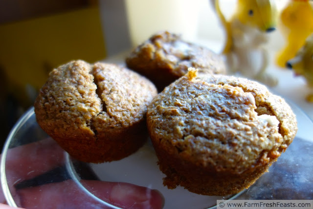 http://www.farmfreshfeasts.com/2013/04/frugal-refrigerator-bran-muffins.html