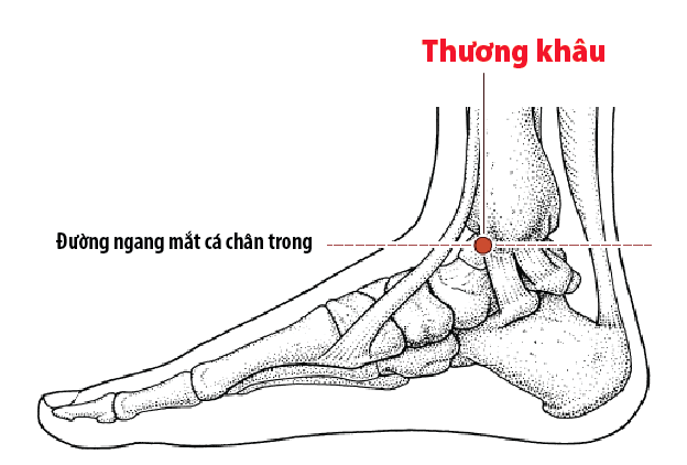 Vị trí huyệt thương khâu