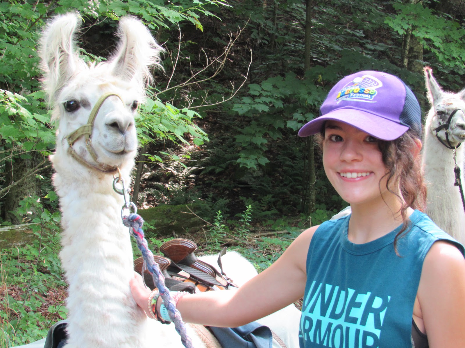 Family Peak Seekers Looking for a different type of family hike? Bring