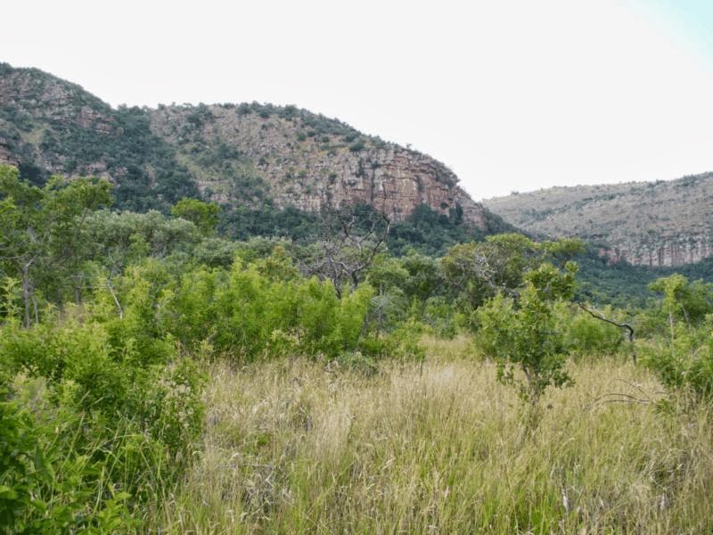 Game Farms For Sale Limpopo GAME FARM FOR SALE IN LIMPOPO 973 ha