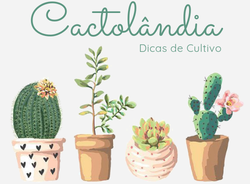 Cactolândia