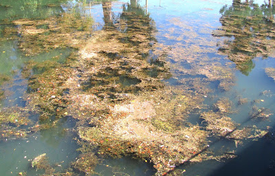 Resultado de imagem para imagens sujidade no rio nabão tomar