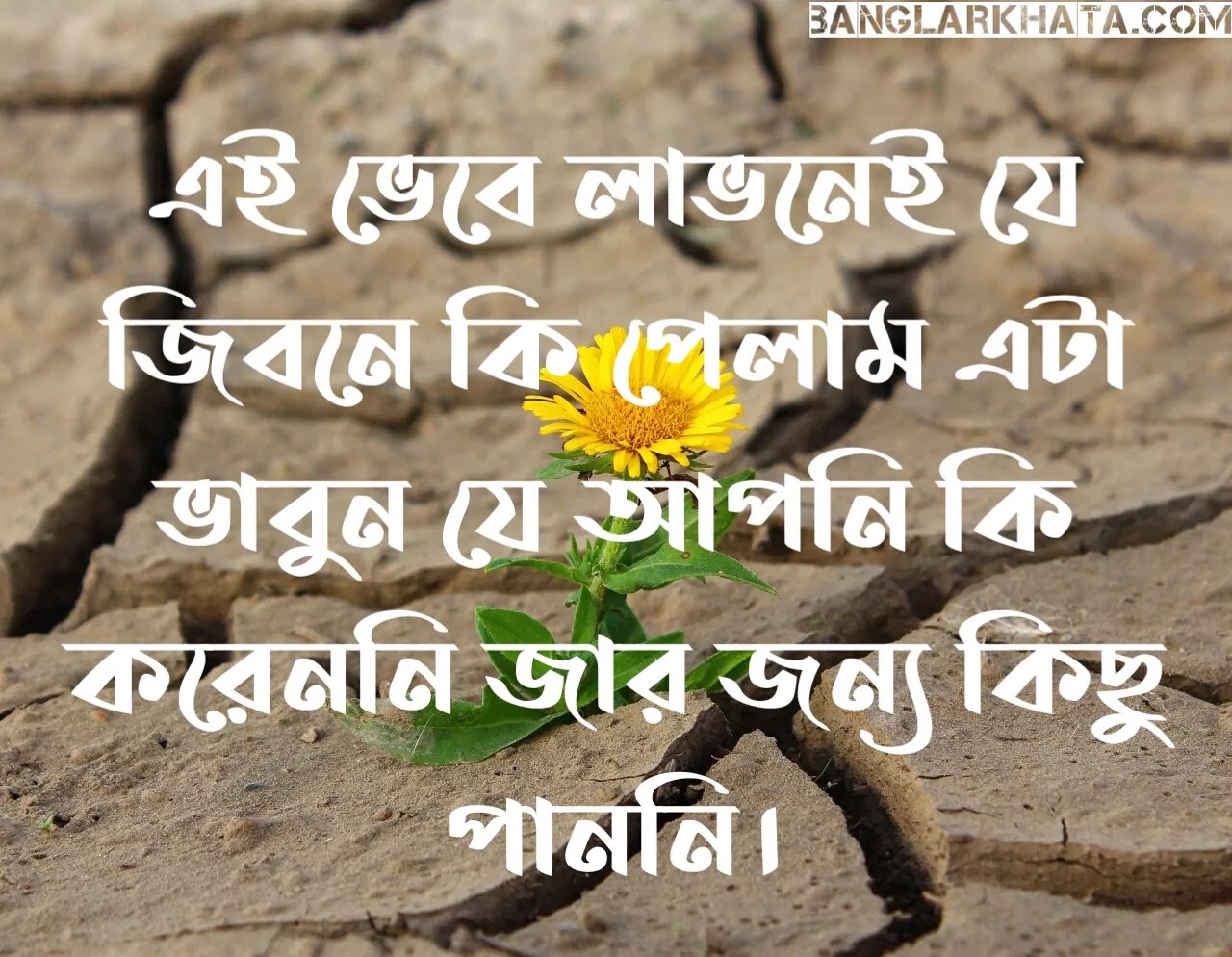 Bengali Quotes about life