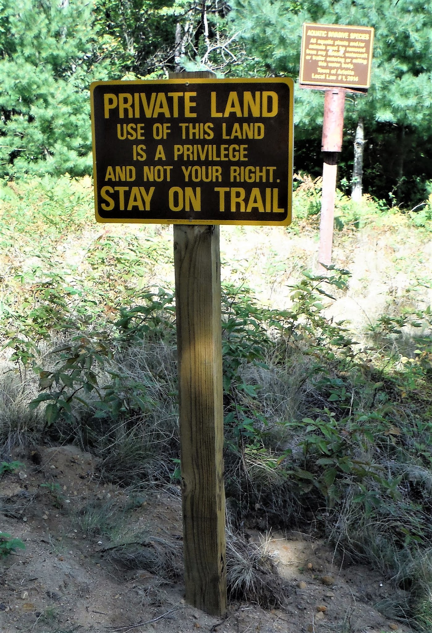 SPY LAKE, SPY LAKE OUTLET, PISECO OUTLET, MUD LAKE paddling