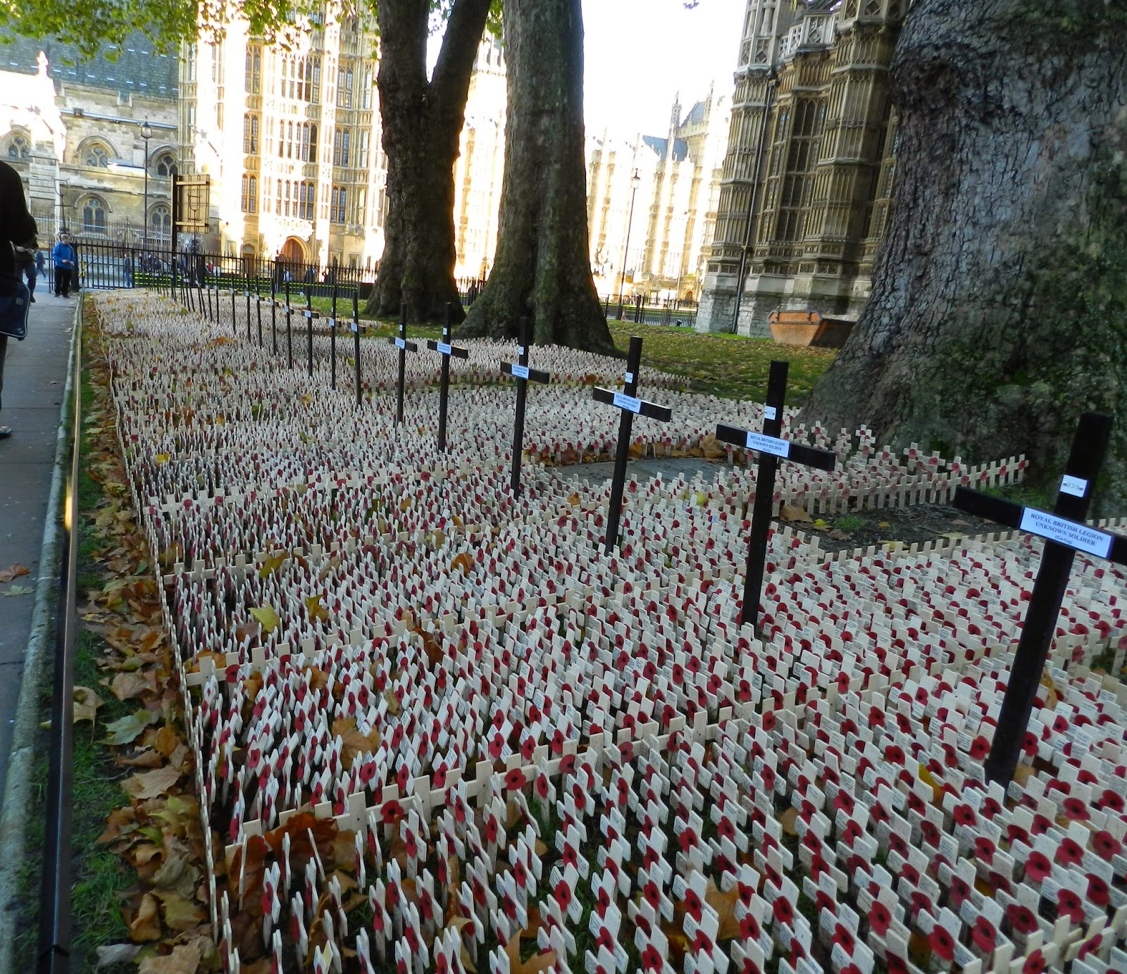 ODDS AND ENDS What Is Poppy Day 11 November