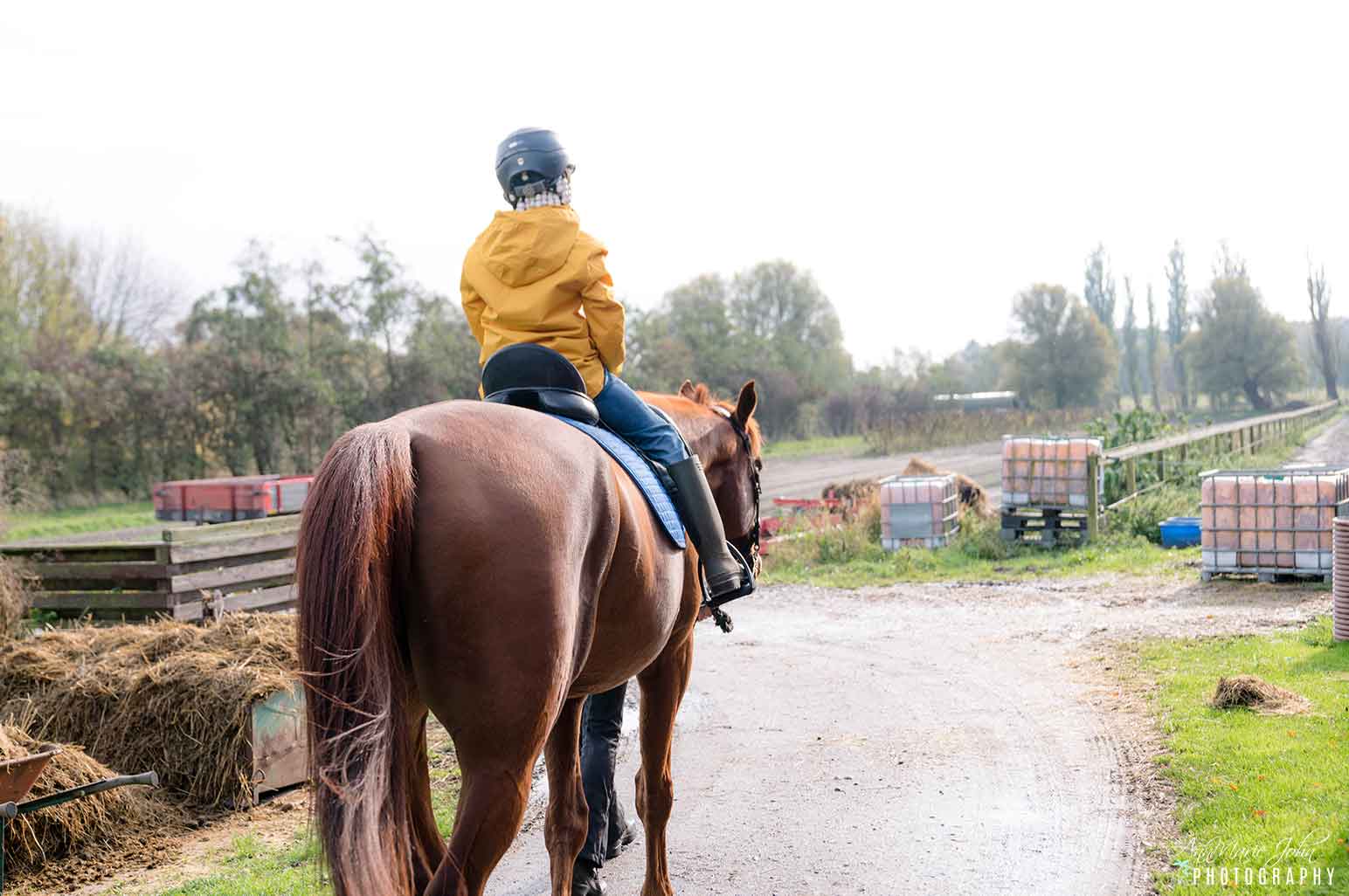 Why Horse-riding Is an Excellent Hobby for Anyone