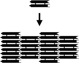 DX dizilimlerinin kurgusu. Her bir çubuk DNA'nın çifte sarmal bölgesini, çubukların uçlarındaki şekiller ise komplementer yapışkan uçları temsil etmektedir. Yukarıdaki DX molekülü aşağıda gösterilen iki boyutlu DNA dizilimi ile birleşecektir. DNA nanoyapılarını oluşturmak için karoya dayalı stratejinin bir örneğidir bu.