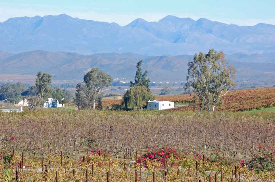 . Robertson Wine Valley's Wacky Wine Weekend. Robertson views