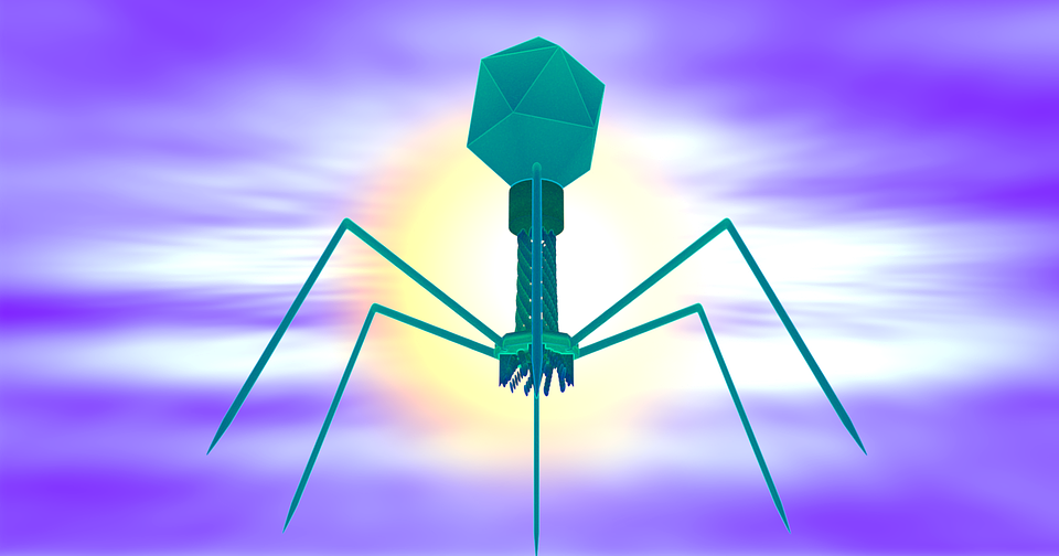 Principles of Molecular Virology 01