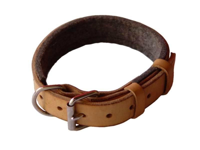 Pals Furr Us 10 types of dog collars
