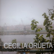 A Coruña, las tempestades de la adolescencia. Exposición