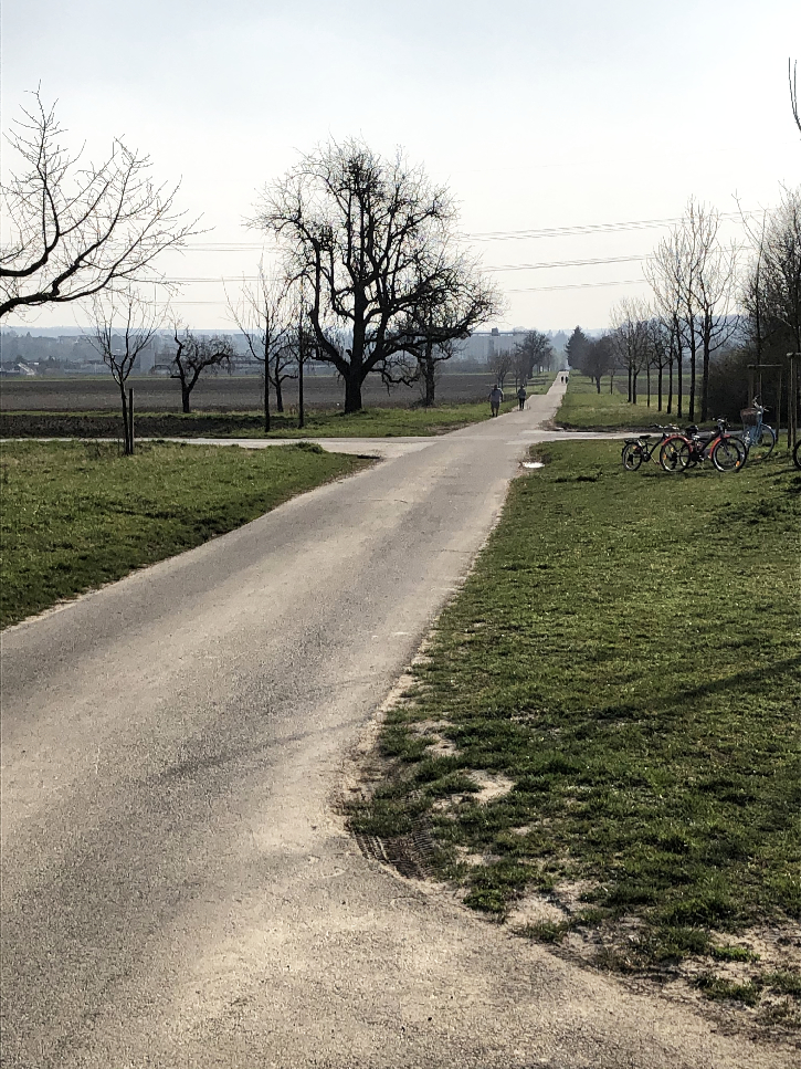 Garten der Triangulation an der SolitudeAlle