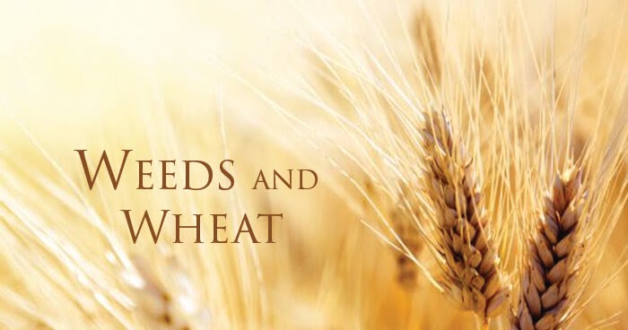 The Casting Floor: Wheat and Weeds