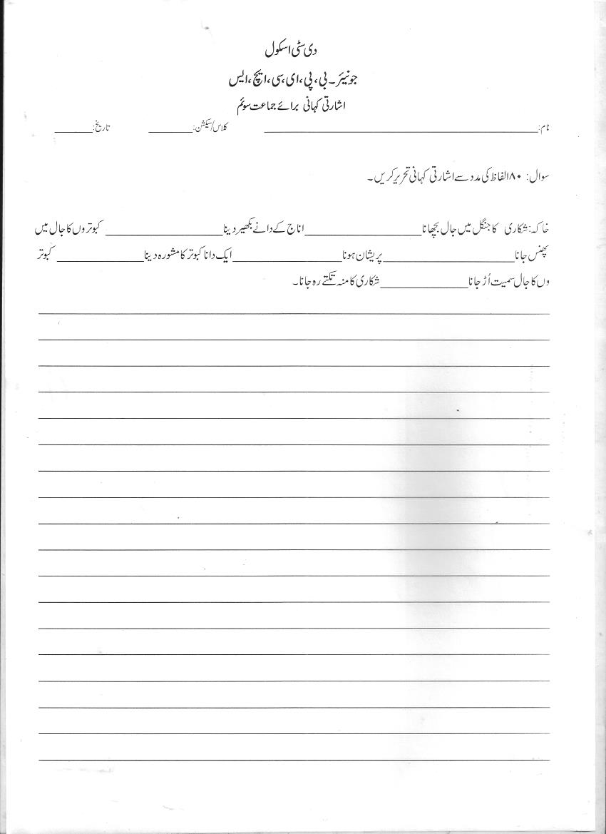 The City School: Grade 3 Urdu Revision Worksheet