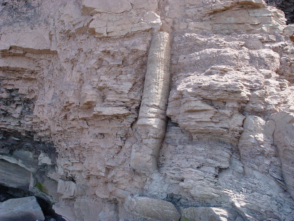 Polystrate Fossils Dispute the Radiometric Dating of Rocks The Hidden