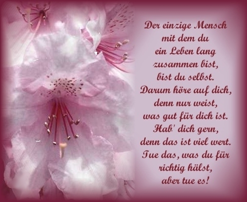 Jugendweihe sprüche