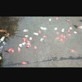 Got Meluap, Kondom Berserakan di Jalan Habis Hujan Deras di Tangerang