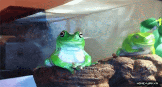 77812a9b438c6bcf26761ec635f686d5.gif