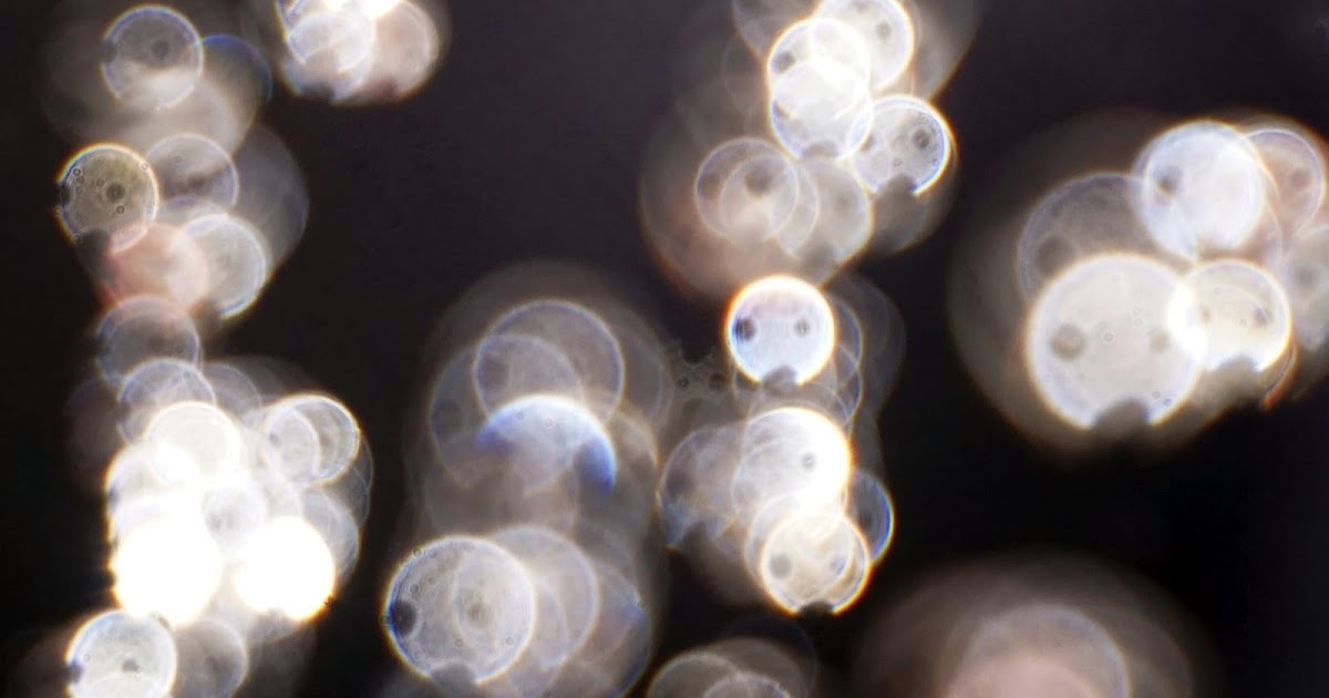 Orb Pro More FaceLike Details in Orbs