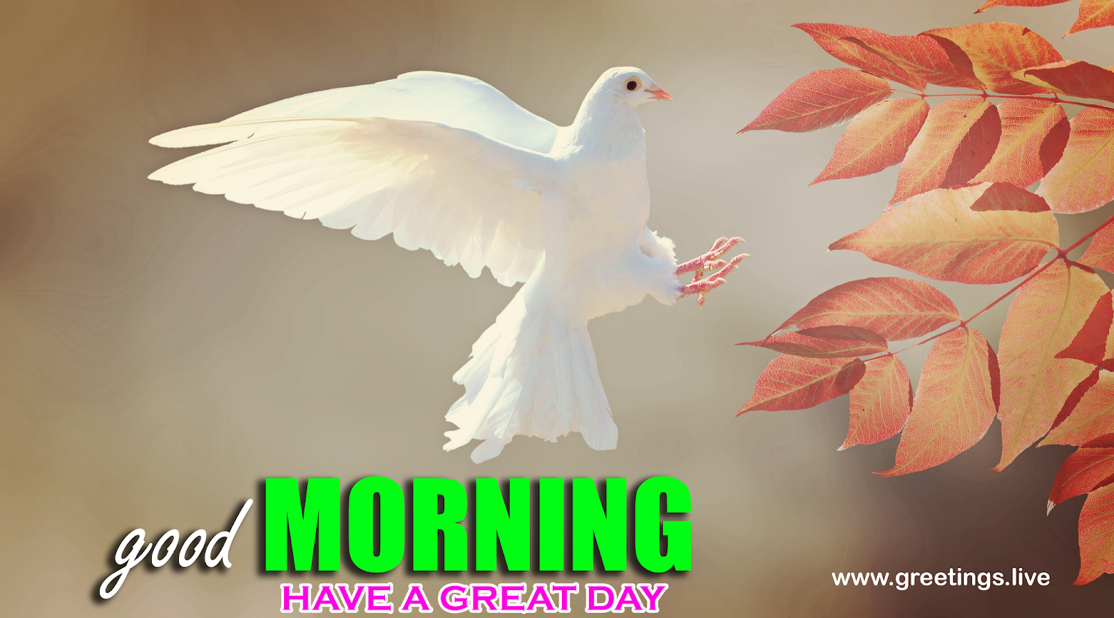 Greetings.Live*Free Daily Greetings Pictures Festival GIF Images ...