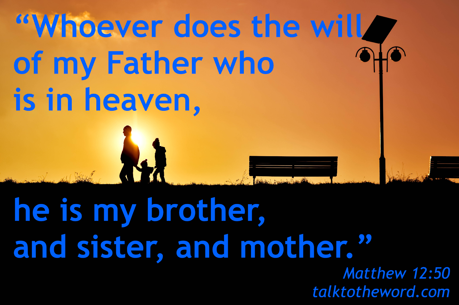Matthew 12 48 50 Matthew 12 48 50