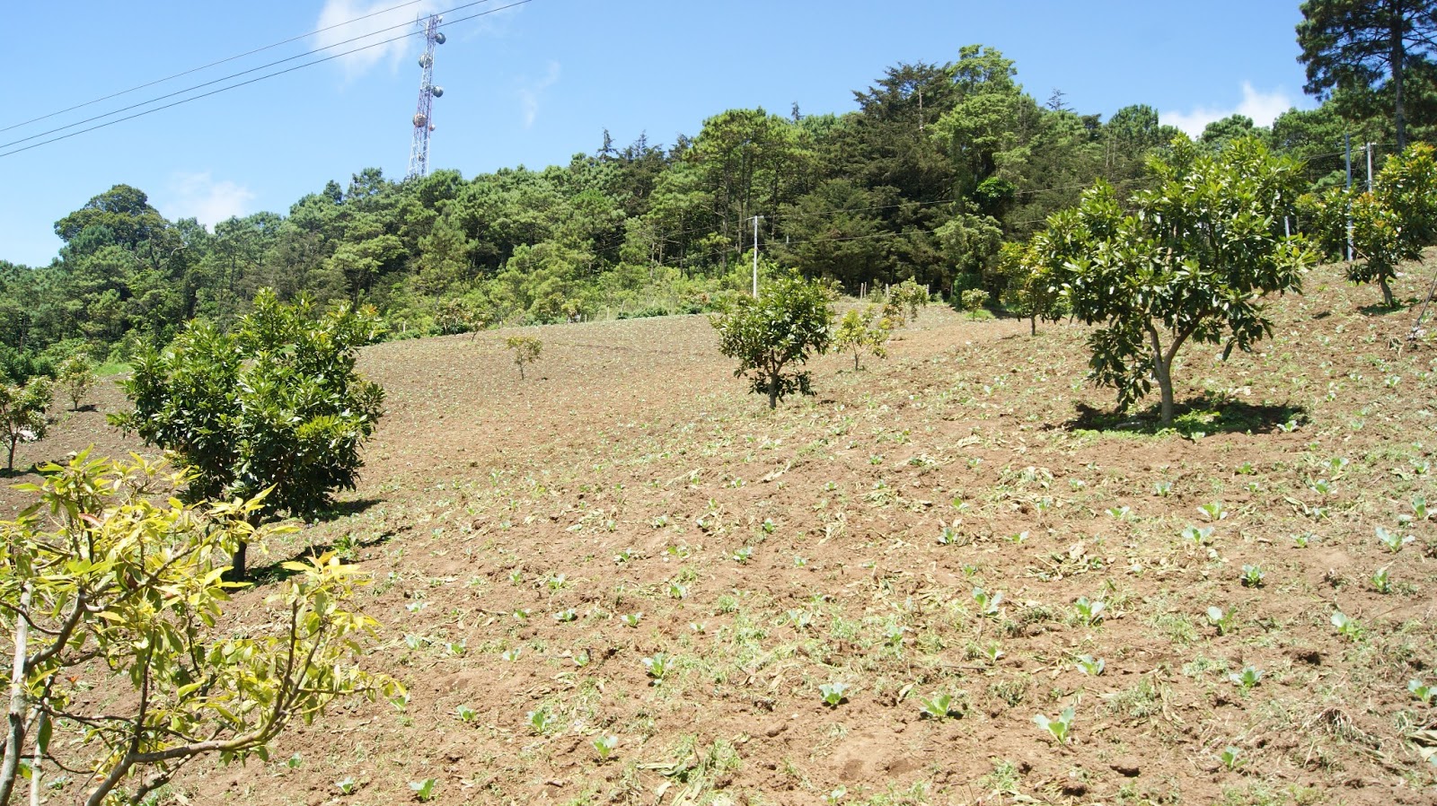 Venta de Terrenos en Miramundo Chalatenango El Salvador Venta Terrenos