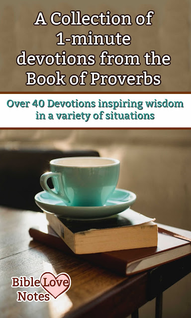 A collection of over 40 1-minute devotion based on the wisdom of Proverbs.