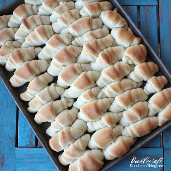 Fresh baked rolls in 30 minutes from start to finish!