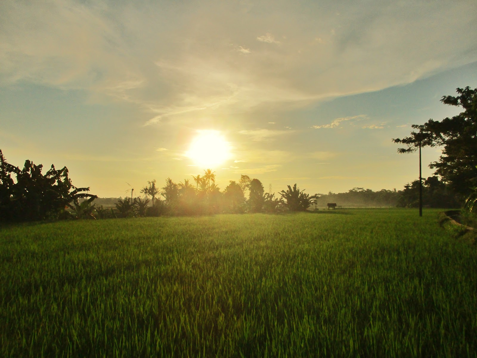 Desa Kancilan, Kecamatan Kembang, Kabupaten Jepara - SEKITAR PLTU