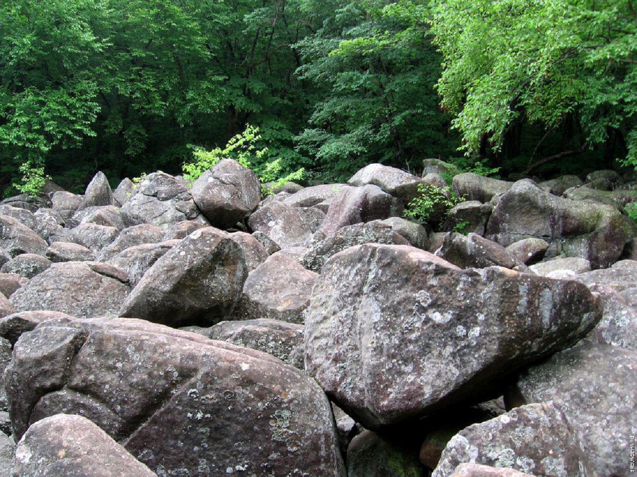 Звон камней. Пенсильвания парк звенящих камней. Звенящие камни Пенсильвании. Звенящие скалы в Пенсильвании. Укающие камни.