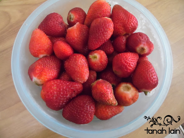 Cómo Hacer Helado de Fresa