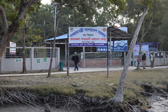 Karamjol of Sundarbans | Wildlife sanctuary
