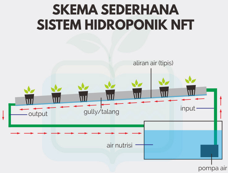 Mengenal sistem tanam hidroponik  Wick NFT dan DFT 
