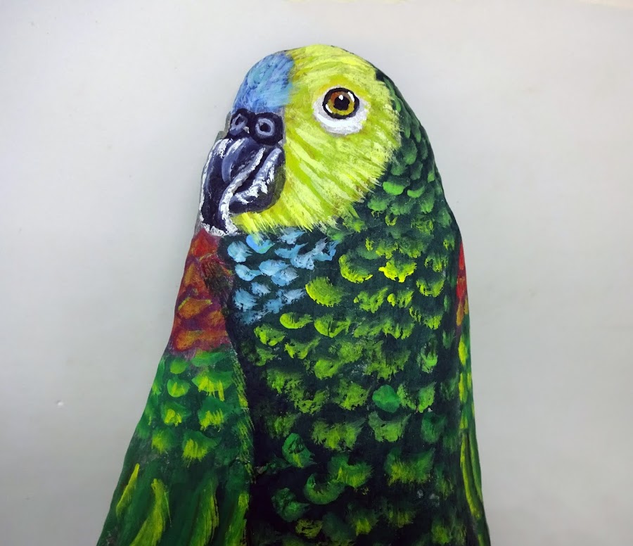 COMO PINTAR PIEDRAS CON LORO VERDE PASO A PASO