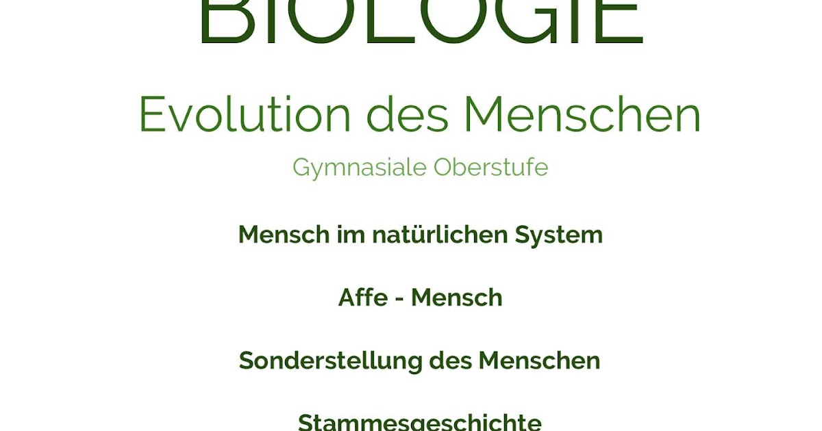 Evolution Des Menschen Zusammenfassung Pdf Lernhilfe: Biologie - Evolution des Menschen