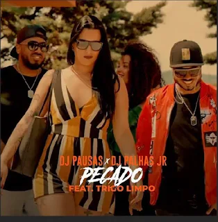 DJ Pausas & DJ Palhas Jr Feat. Trigo Limpo - Pecado